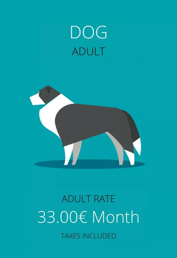 Dog Health Plan - Anubis