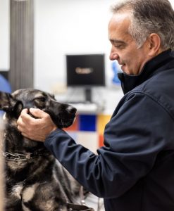 veterinarios en bilbao