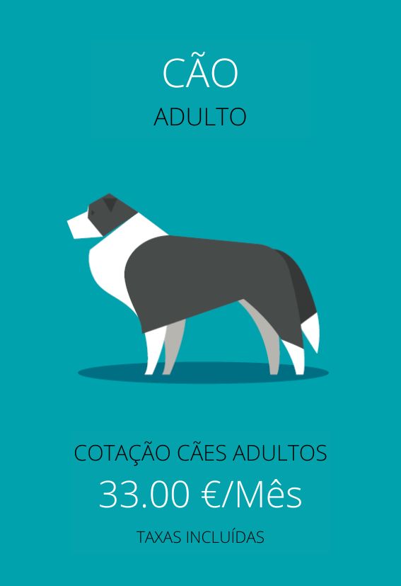 plan de salud perro adulto