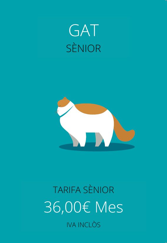 plan de salud gato senior