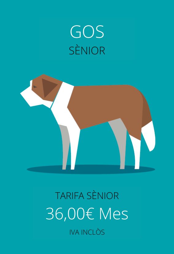 plan de salud perro senior