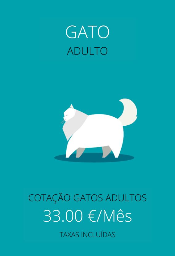 plan de salud gato adulto