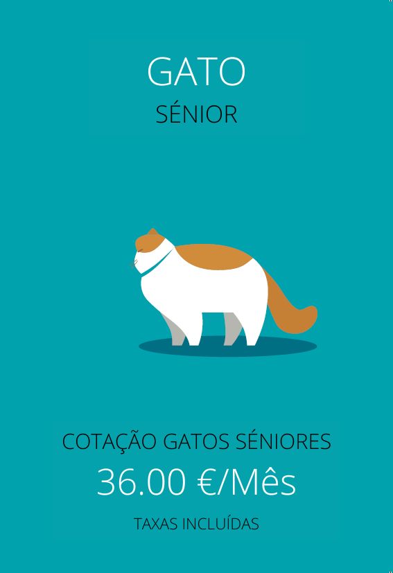 plan de salud gato senior