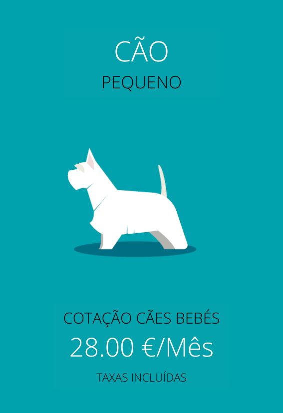 plan de salud perro cachorro